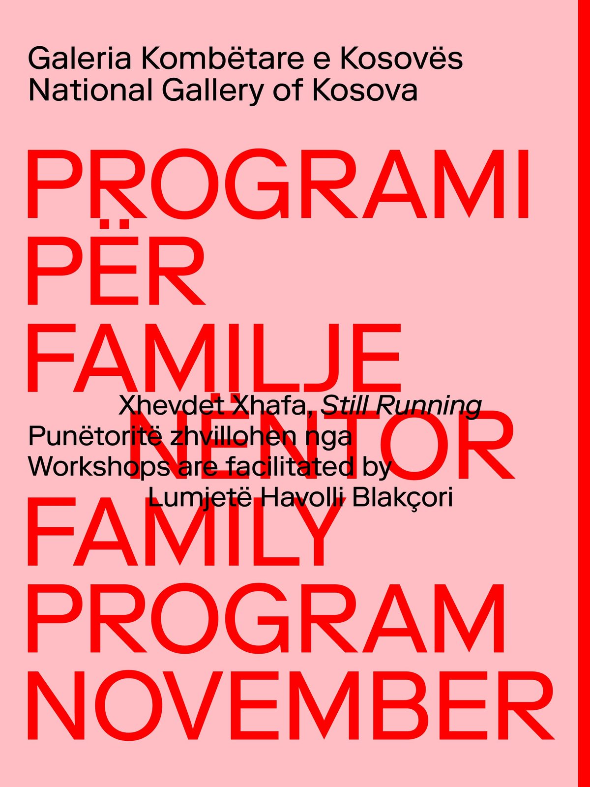 Programi për Familje / Family Program