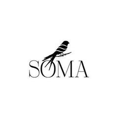 Soma Book Station