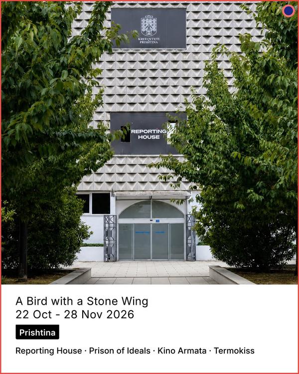 A Bird with a Stone Wing