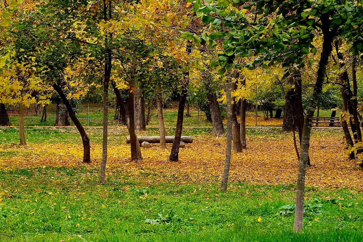 Taukbahçe Park