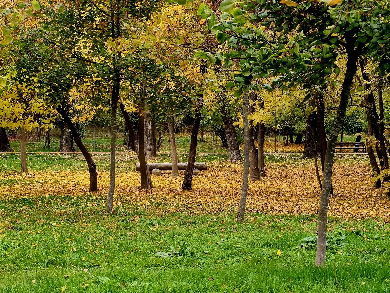 Taukbahçe Park